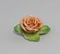 Preview: Altrosa Tischrose Albert Stahl