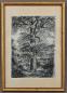 Preview: Schwarz, Baum