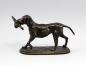 Preview: Jagdhund mit Rebhuhn