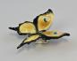 Preview: Schmetterling gelb / schwarz