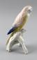 Preview: Wellensittich rosa / hellblau / gelb
