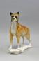 Preview: Hund Boxer