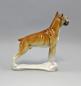 Preview: Hund Boxer