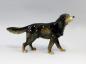 Preview: Hund Setter