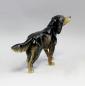 Preview: Hund Setter