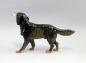 Preview: Hund Setter