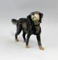 Preview: Hund Setter