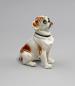 Preview: kleine Bulldogge rotbraun gefleckt