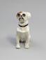 Preview: kleine Bulldogge rotbraun gefleckt
