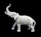 Preview: Elefant