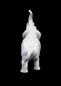 Preview: Elefant