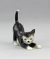 Preview: Katze sich streckend schwarz