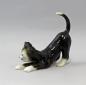 Preview: Katze sich streckend schwarz
