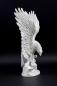 Preview: Seeadler