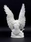 Preview: Seeadler