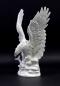 Preview: Seeadler