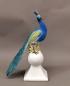 Preview: Sonderposten Pfau