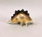 Preview: Dino Stegosaurus