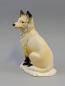 Preview: Polar-Fuchs bunt