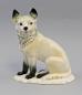 Preview: Polar-Fuchs