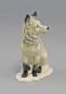 Preview: Polar-Fuchs