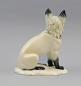 Preview: Polar-Fuchs