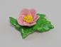 Preview: Tischblume Wild-Rose gelb purpur