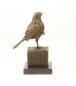 Preview: Bronze Skulptur Raubvogel