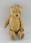 Preview: Teddy