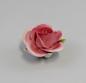 Preview: Rosa Tischrose Kämmer