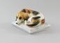 Preview: Basset / Dackel / Hund