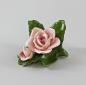 Preview: Rose mit Knospe