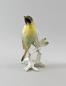 Preview: Gartenammer