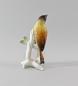 Preview: Gartenammer