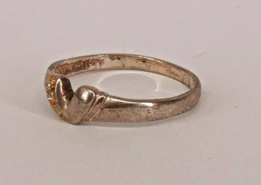 Bicolor-Ring