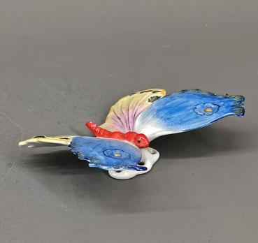 Schmetterling Ens