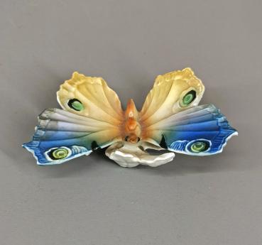 Schmetterling Ens