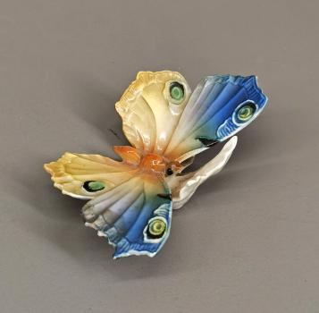 Schmetterling Ens