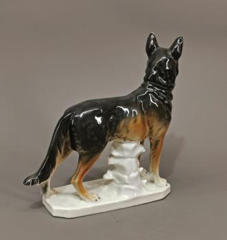 Schäferhund