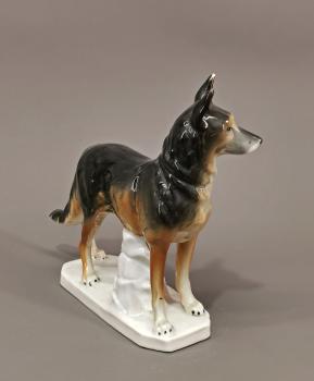 Schäferhund
