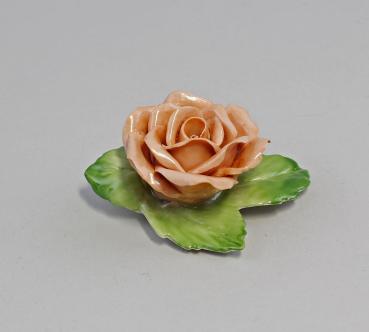 Altrosa Tischrose Albert Stahl