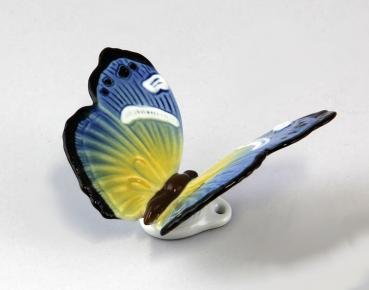 Schmetterling blau / gelb