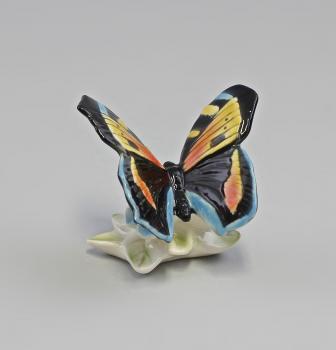Schmetterling auf Sockel schwarzbunt