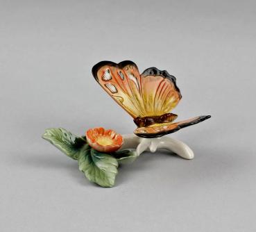 Schmetterling mit Blüte rot