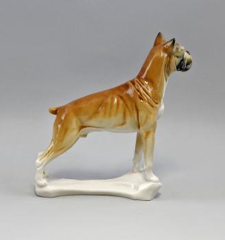 Hund Boxer