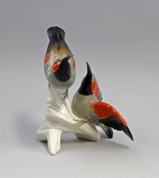 Mauerläufer-Gruppe