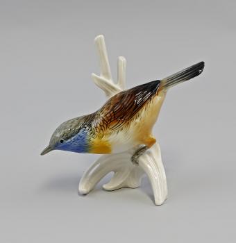Braunbrustzaunkönig / Blaukehlchen
