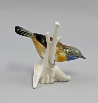 Braunbrustzaunkönig / Blaukehlchen