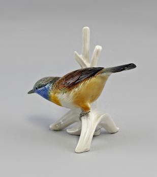 Braunbrustzaunkönig / Blaukehlchen