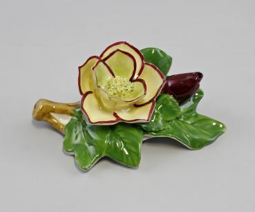 Wildrose gelb / rot